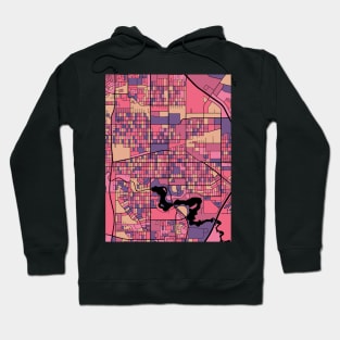 Regina Map Pattern in Purple & Pink Hoodie